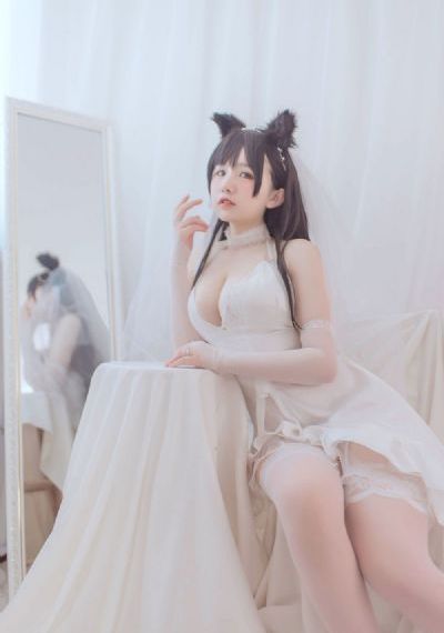 杨家将电视剧85版免费观看30集