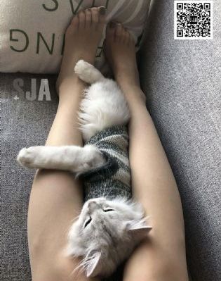 重燃电视剧