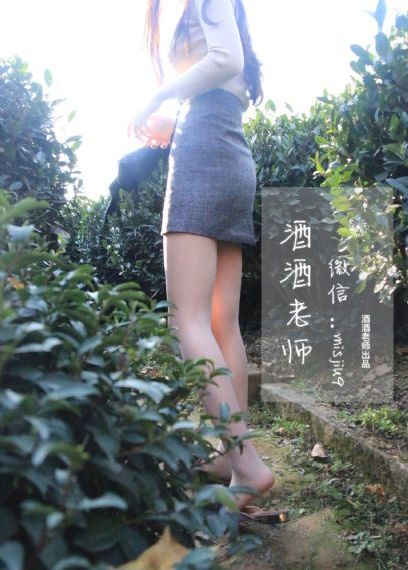 熊出没之狂野大陆免费观看完整版