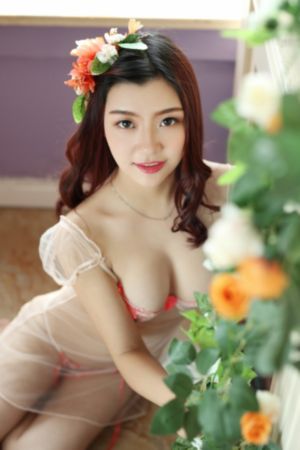 萝卜须电视剧免费高清