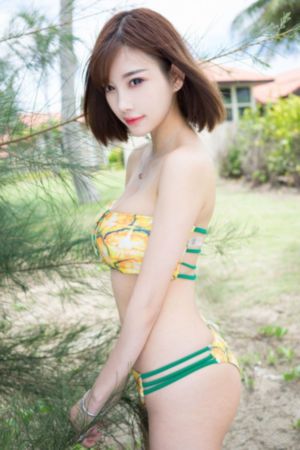 远山的呼唤电影
