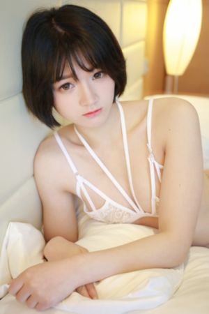 电视剧冬至免费播放