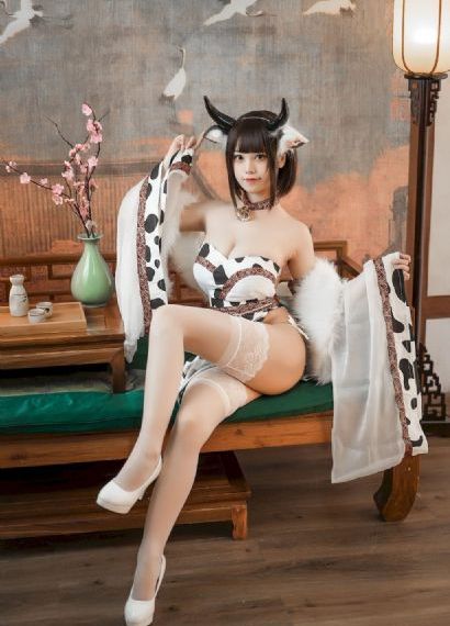 藏海花电视剧全集在线观看 免费