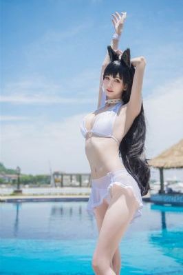 嫂子的职业视频